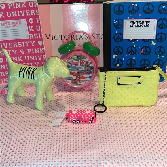 PINK Victoria's Secret Accessories - 🆕🐕🍭 VS PINK Pup & Pouch Bundle  🍭💚🆕